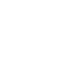 Shanzelize